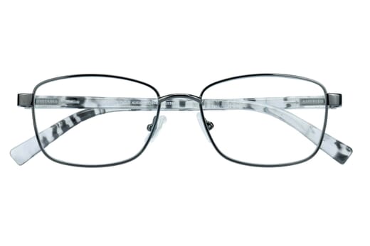 Reading glasses LEXXOO 4191 anthracite closed