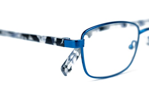 Reading glasses LEXXOO 4191 blue extra