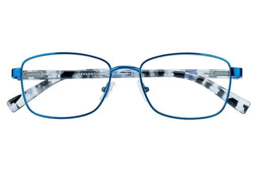 Reading glasses LEXXOO 4191 blue closed