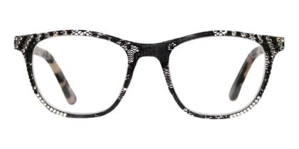 BRI-CODY-SCHWARZE-SPITZE_frontal Cody, schwarze spitze