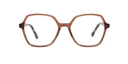 BRI-HIBISCUS-TORTOISE_frontal Hibiscus, tortoise