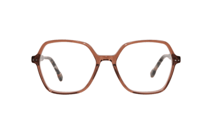 BRI-HIBISCUS-TORTOISE_frontal Hibiscus, tortoise