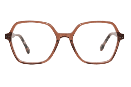 BRI-HIBISCUS-TORTOISE_frontal Hibiscus, tortoise