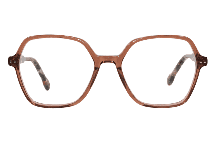 BRI-HIBISCUS-TORTOISE_frontal Hibiscus, tortoise