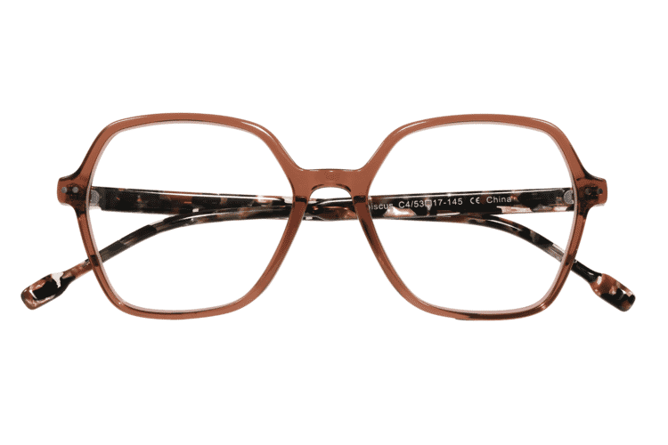 BRI-HIBISCUS-TORTOISE_frontal_geschlossen Hibiscus, tortoise