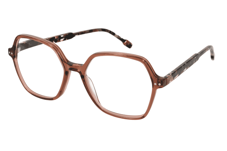 BRI-HIBISCUS-TORTOISE_seitlich Hibiscus, tortoise