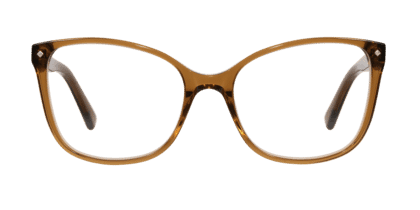 BRI-TULIP-BRAUN_frontal Tulip, brown