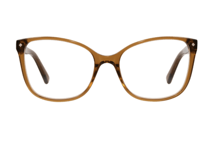 BRI-TULIP-BRAUN_frontal Tulip,  braun