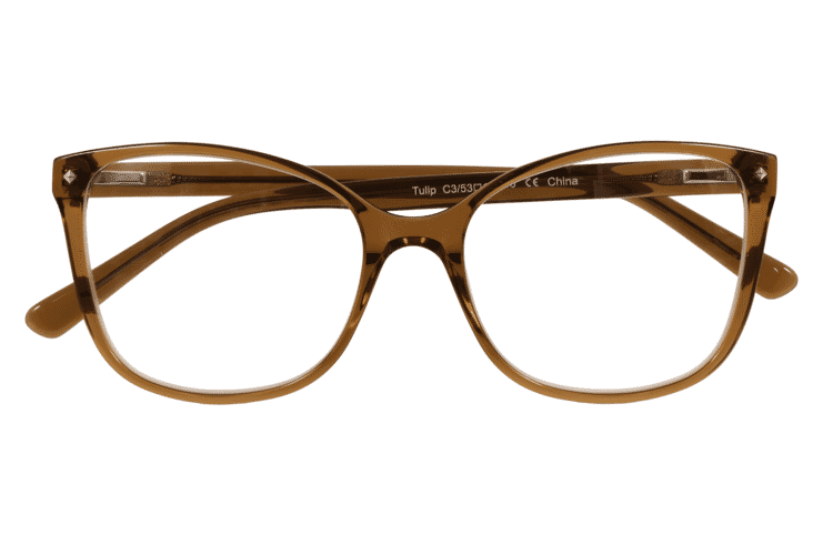 BRI-TULIP-BRAUN_frontal_geschlossen Tulip, braun