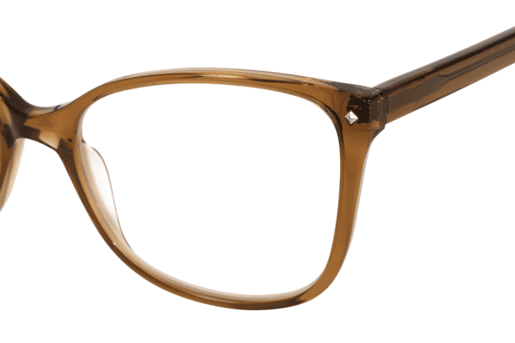 BRI-TULIP-BRAUN_zusatzbild_1 Tulip, braun