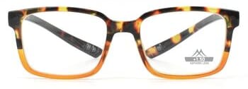 MNR 2B, Tortoise Braun