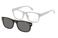MRC1A-havanna-nur-der-Sonnenclip MRC1 Sonnenclip Tortoise