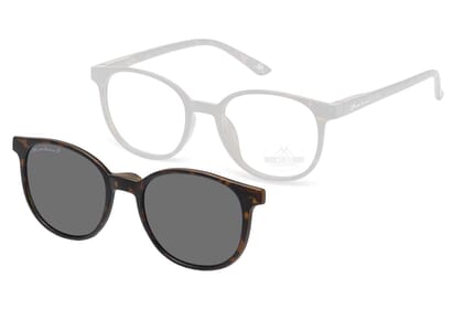 MRC2A-havanna-nur-der-Sonnenclip MRC2 Sonnenclip Tortoise