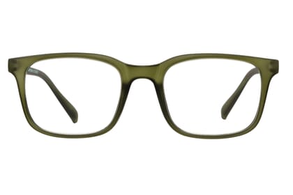 TRR-HAMPTON-GRUN_frontal Hampton, gruen