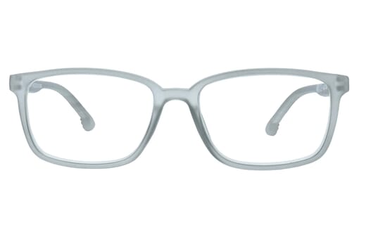 Reading glasses LEXXOO 4060B light gray frontal
