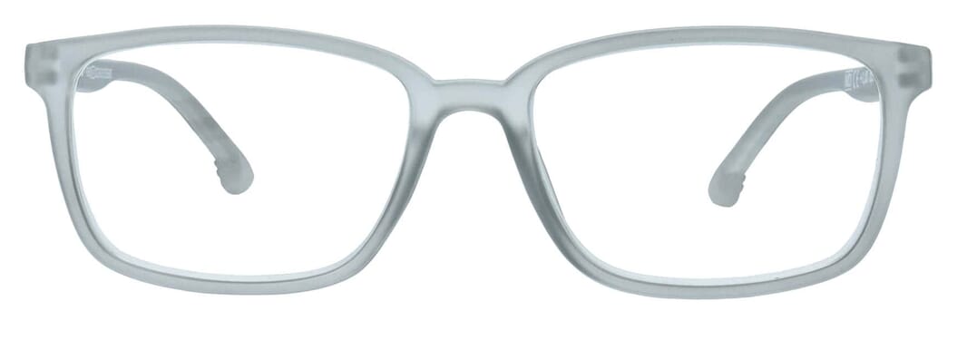 Reading glasses LEXXOO 4060B light gray frontal Reading glasses LEXXOO 4060B light gray frontal