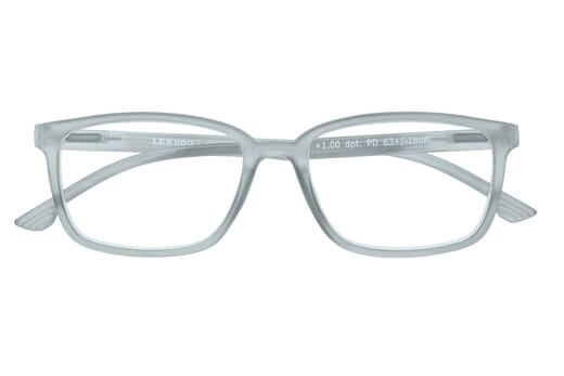 Reading glasses LEXXOO 4060B light gray closed