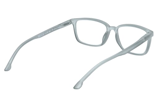 Reading glasses LEXXOO 4060B light gray inside