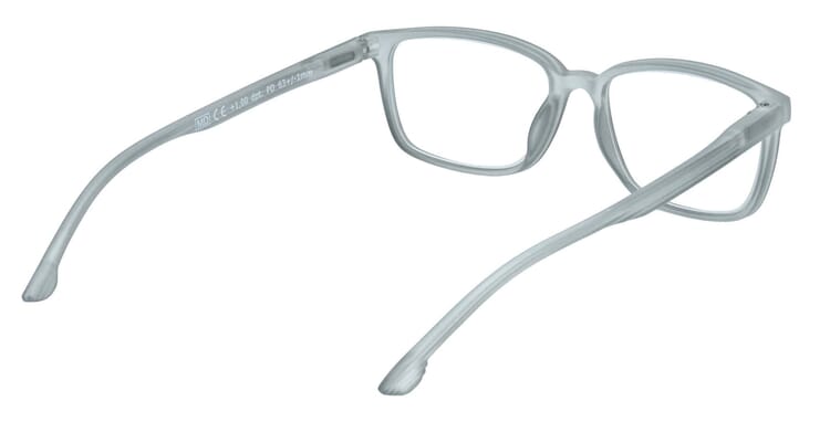 Reading glasses LEXXOO 4060B light gray inside Reading glasses LEXXOO 4060B light gray inside