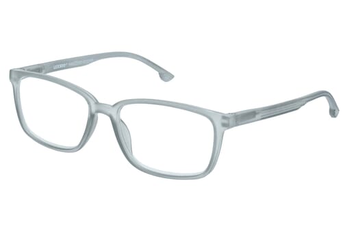 Reading glasses LEXXOO 4060B light gray lateral