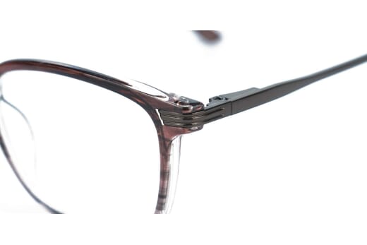 Reading glasses LEXXOO 4240B brown extra