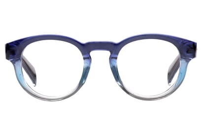 Stacked from 2 images. Method=B (R=8,S=4) Aarhus Blaulichtfilter Brille Blau