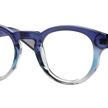 Stacked from 3 images. Method=C (S=4) Aarhus Blaulichtfilter Brille Blau