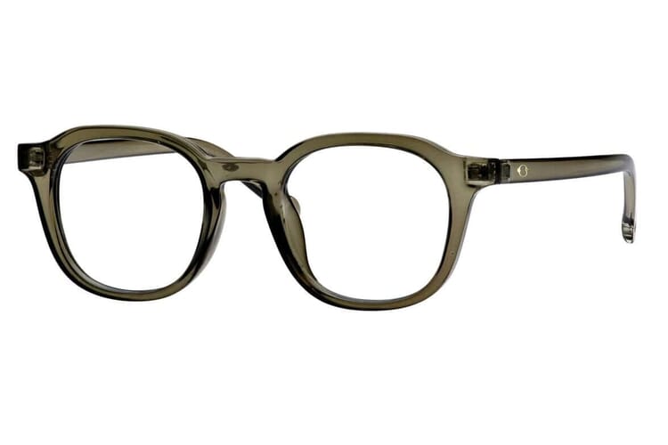 Stacked from 2 images. Method=B (R=8,S=4) Darby Blaulichtfilter Brille Rauchgrau transparent