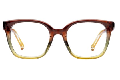 Stacked from 2 images. Method=B (R=8,S=4) Annika Blaulichtfilter Brille Braun-grün-gelb-Verlauf