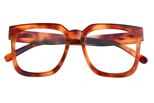 BAZAAR, Tortoise bright