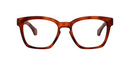 guardian-frontal-open-havana-dark GUARDIAN, Tortoise dark