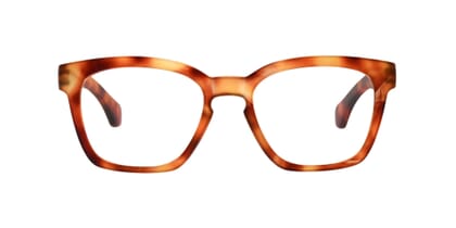 guardian-frontal-open-havana-bright GUARDIAN, Tortoise bright