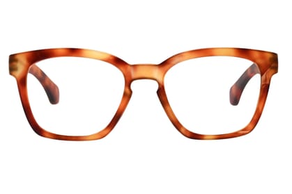 guardian-frontal-open-havana-bright GUARDIAN, Tortoise bright