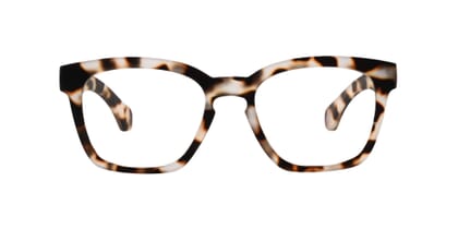 guardian-frontal-open-tortoise GUARDIAN, Tortoise