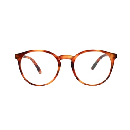 people-frontal-offen-havanna-hell PEOPLE, Tortoise hell