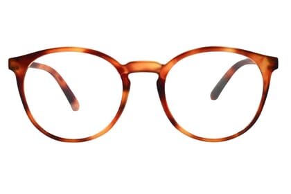 people-frontal-offen-havanna-hell PEOPLE, Tortoise hell