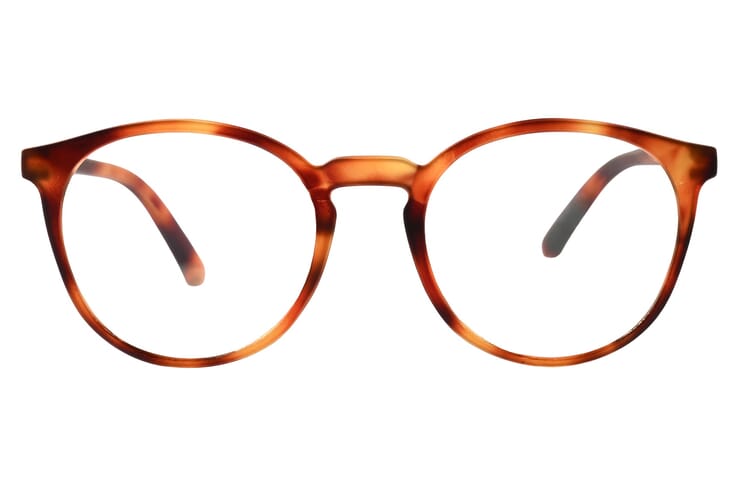 people-frontal-offen-havanna-hell PEOPLE, Tortoise hell