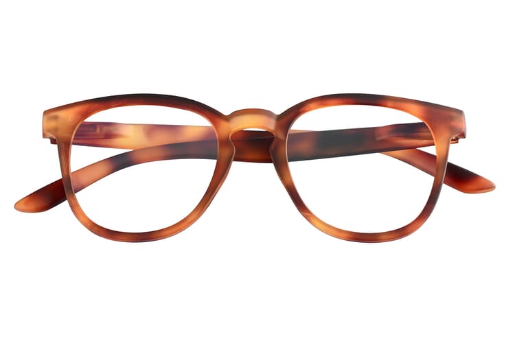 times-frontal-geschlossen-havanna-hell TIMES, Tortoise hell