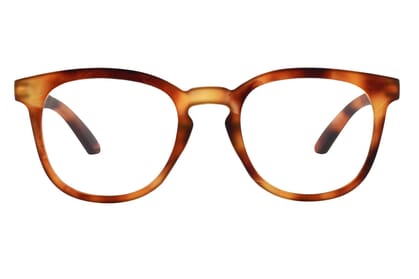 times-frontal-offen-havanna-hell TIMES, Tortoise hell