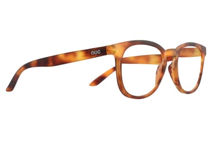 times-side-havana-bright TIMES, Tortoise bright