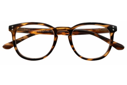 Robin, Tortoise braun