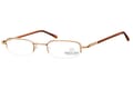 montana-lesebrille-mr10-gold-seitlich MR10, Gold