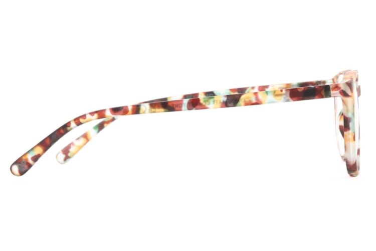 trr-regent-tortoise-detail Regent, Tortoise