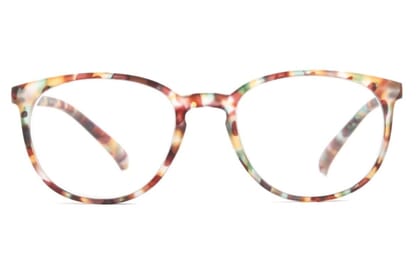 trr-regent-tortoise-frontal-offen Regent, Tortoise