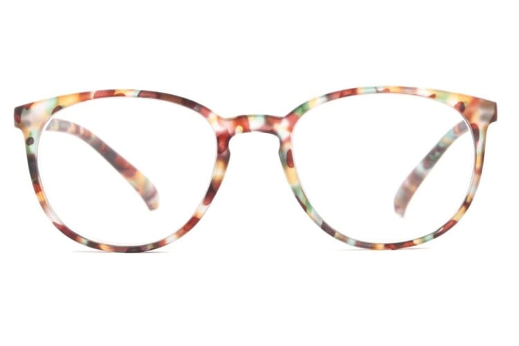 trr-regent-tortoise-frontal-offen Regent, Tortoise