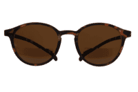 No. 12 bifocal Tortoise