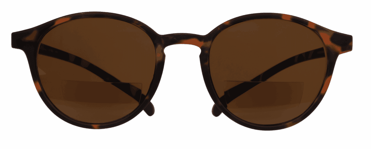 KLA-12SUNBIFO-HAVANNA_frontal No. 12 bifokal Tortoise
