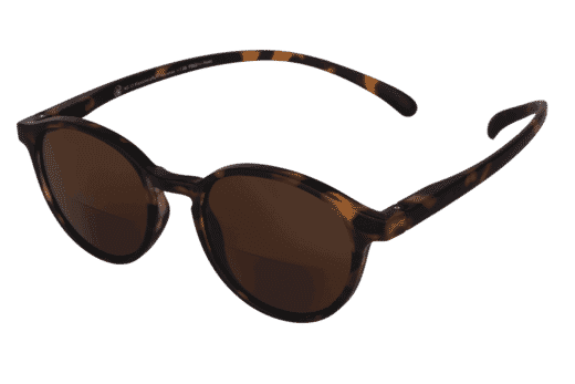 No. 12 bifokal Tortoise