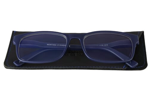 HBLF73 Blaulichtfilter Brille Blau